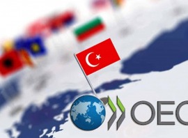 OECD Üyesi Ülkelerde ve Türkiye’de Mükellef Haklarının Karşılaştırılması-I